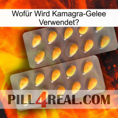 Wofür Wird Kamagra-Gelee Verwendetl cialis2